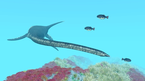 Elasmosaurus Facts For Kids Elasmosaurus Facts For Kids