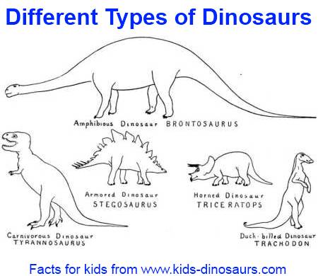 Coloring Sheets  on Different Types Of Dinosaurs For Kids