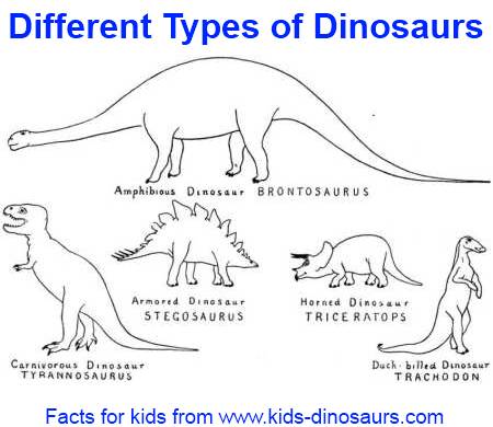 Dinosaur Coloring Pages on Different Types Of Dinosaurs For Kids