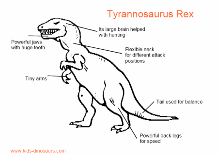 Dinosaur Coloring Pages on Dinosaur T Rex   Facts Of Tyrannosaurus Rex Dinosaurs