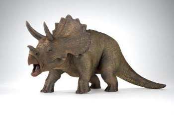 dinosaurs-triceratops.jpg