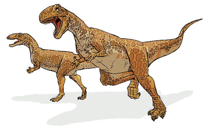 Pictures of Dinosaurs - Megalosaurus