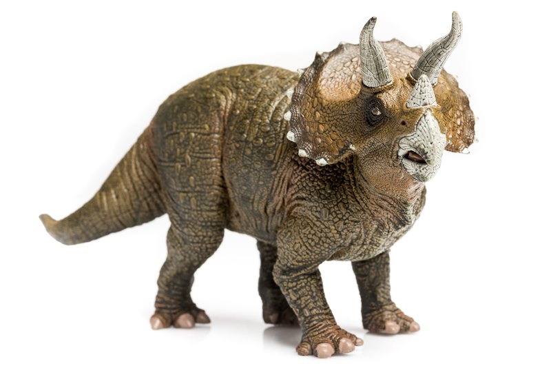 Dinosaurs - Triceratops head