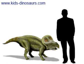 Protoceratops Size - how big was this dinosaur