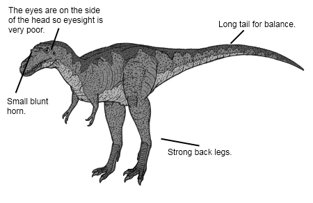 Albertosaurus Dinosaur Facts