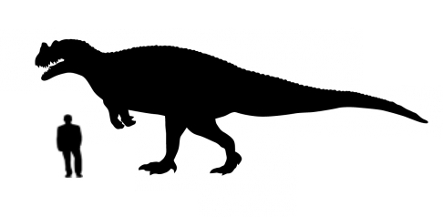 Albertosaurus Dinosaur Size