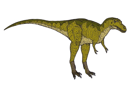 Albertosaurus Dinosaur