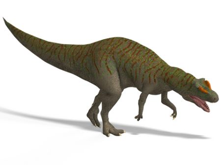 allosaurus dinosaur