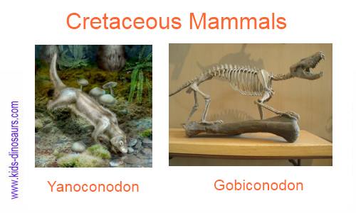 Creataceous Animals - Mammals
