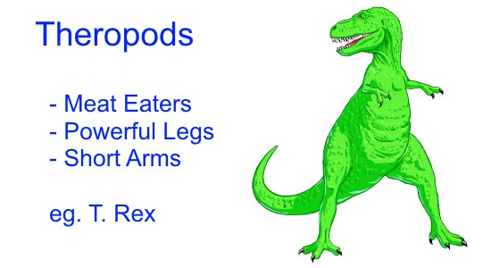 Different Types of Dinosaurs - Theropods