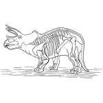 Dinosaur Skeleton of Triceratops