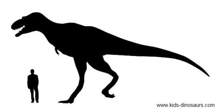 Dinosaur T Rex Size - Size of Tyrannosaurs Rex