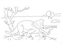 Dinosaurs Triceratops coloring sheet 2