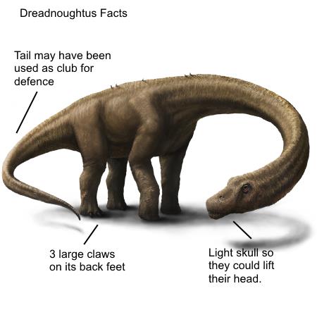Dreadnoughtus Dinosaur facts for kids