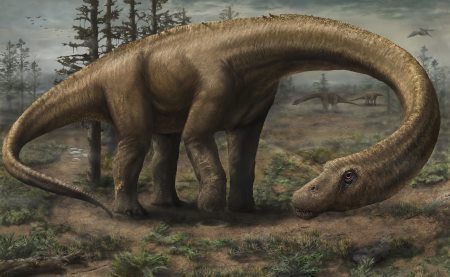 dreadnoughtus.jpg