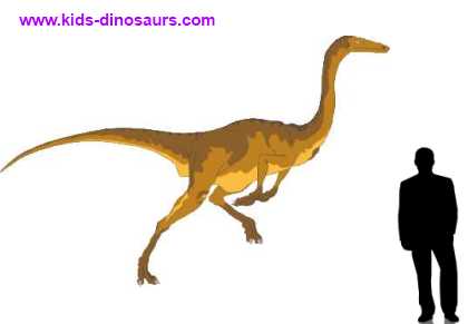 How big was Gallimimus
