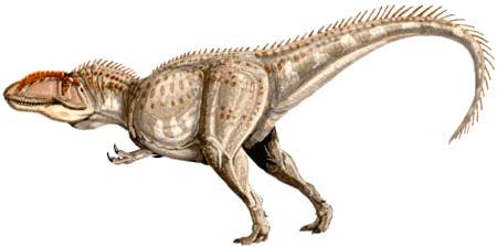 Giganotosaurus Dinosaur - pictures for kids