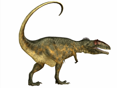 Dinosaurs - Giganotosaurus