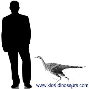 Linhenychus  - New Dinosaur Size