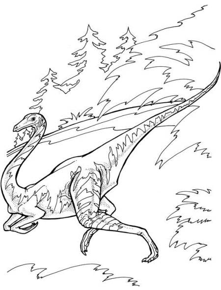Ornithomimus - Dinosaur Facts for Kids Ornithomimus - Dinosaur Facts for Kids