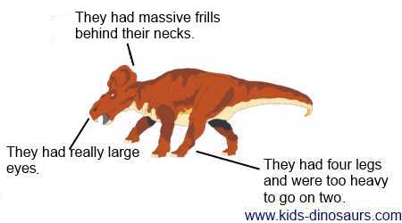 Protoceratops Facts for Kids