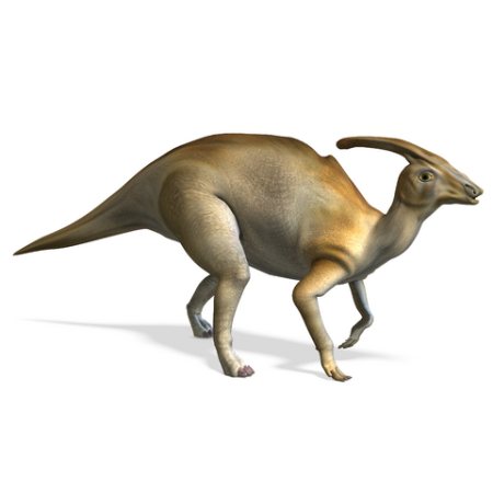 Parasaurolophus Dinosaur