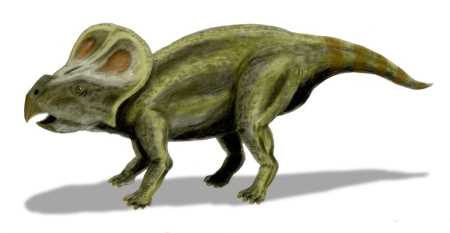 Protoceratops - Dinosaur Facts for Kids