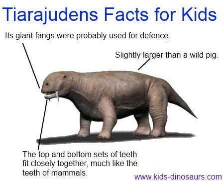 Tiaruajuden Dinosaur facts for kids