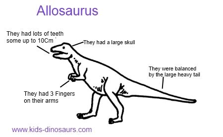 Allosaurus Dinosaur Facts