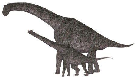 Brachiosaurus Dinosaurs