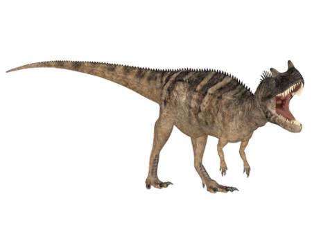 Ceratosaurus Dinosaur picture