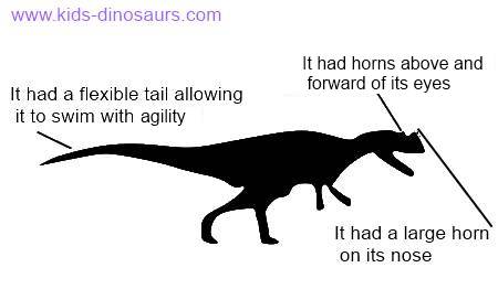 Ceratosaurus Kids Facts