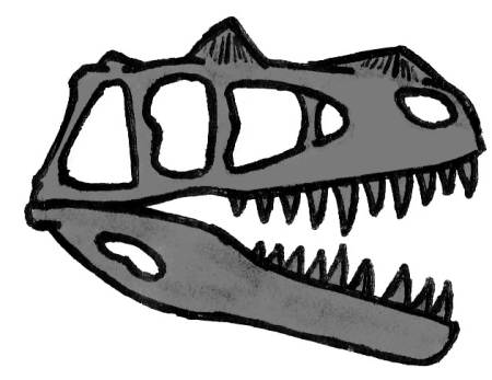 Ceratosaurus skull