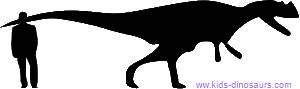 Size of Ceratosaurus dinosaur