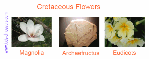 Cretaceous Plants - Flowers