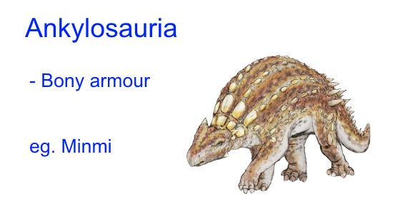 Dinosaur Classification - Ankylosauria