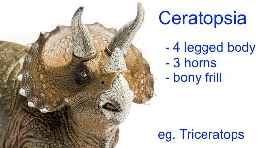 Dinosaur Classification - Ceratopsia