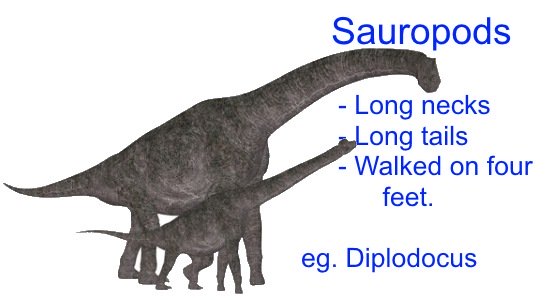 Different Types of Dinosaurs - Sauropods