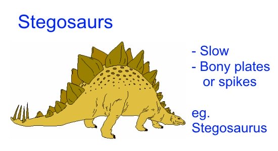 Different Types of Dinosaurs - Stegosaurs
