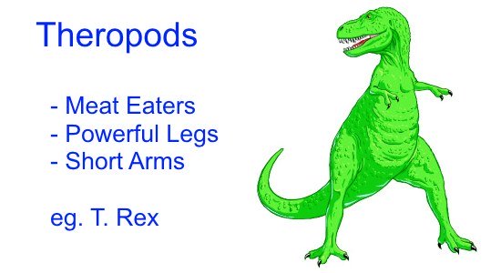 Dinosaur Classification - Theropods