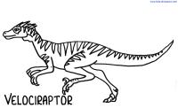 Velociraptor Dinosaur Coloring Pages