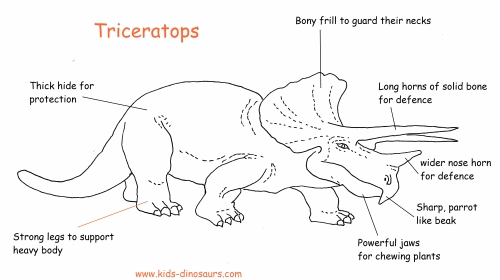 Triceratops Dinosaur Facts