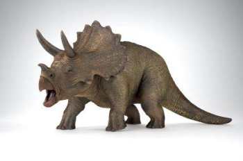 Triceratops Dinosaur