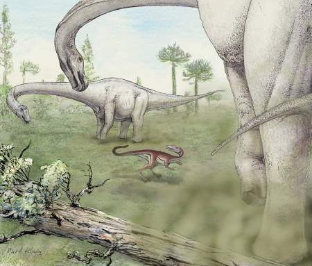 Dreadnoughtus Dinosaur Picture