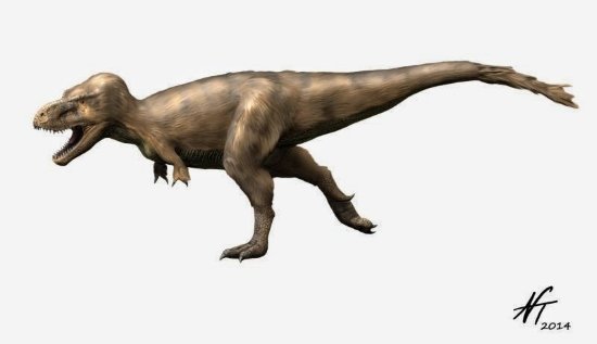 Feathered Dinosaurs - Tyrannosaurus Rex