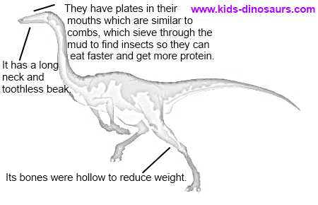 Gallimimus facts for kids