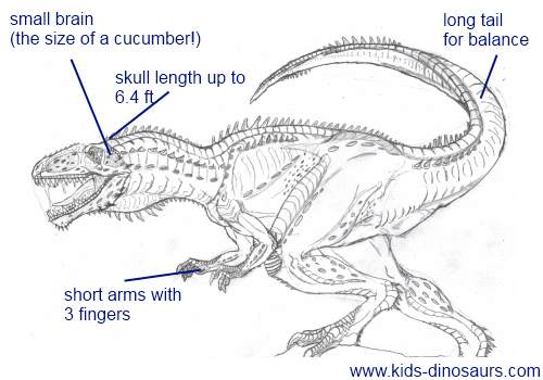 Giganotosaurus Dinosaur Facts for Kids