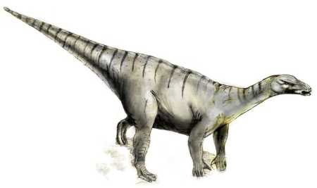 Iguanodon dinosaur