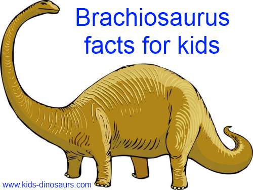 Kids Dinosaurs - Brachiosaurus