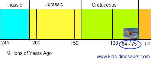 Linhenycus Timeline